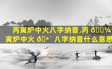 丙寅炉中火八字纳音,丙 🐼 寅炉中火 🪴 八字纳音什么意思